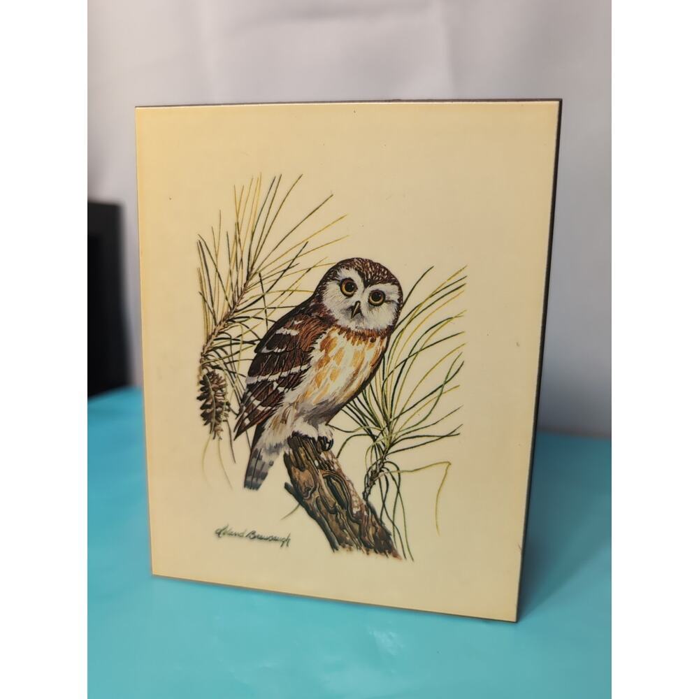 Vintage Trinket Box Northern Saw-whet Owl Leland Brewsaugh Wood